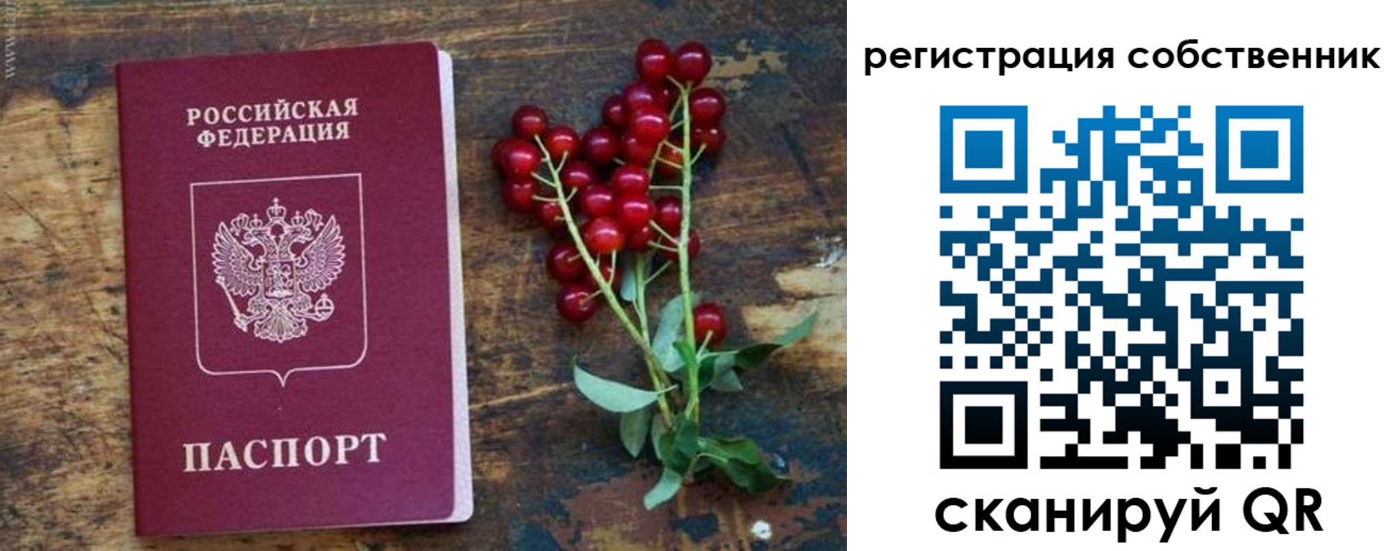регистрация для дет. сада в Суздали